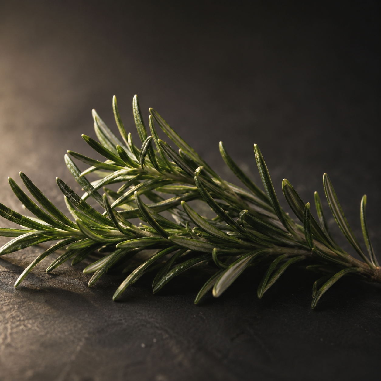 Rosemary CO2
